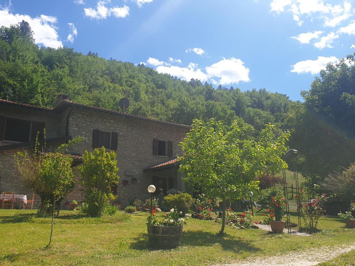 B&B Il Bagarello Palazzuolo Sul Senio Eksteriør bilde